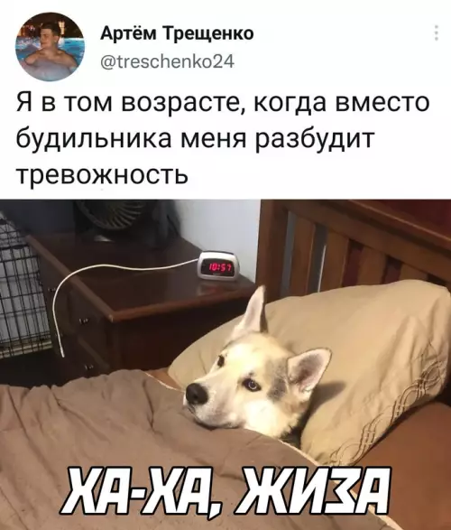 Смешная картинка №652843