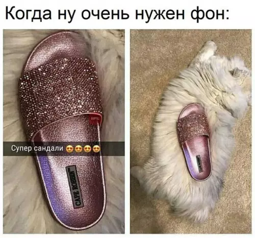 Смешная картинка №223856