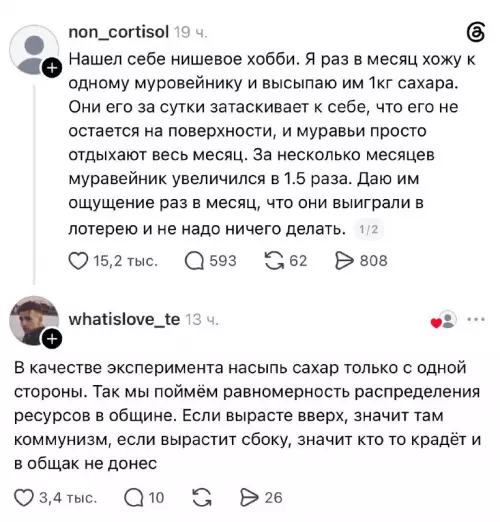 Муравьиный коммунизм и сахарные махинации 🐜🍭 - Нашел себе нишевое хобби. Я раз в месяц хожу к
