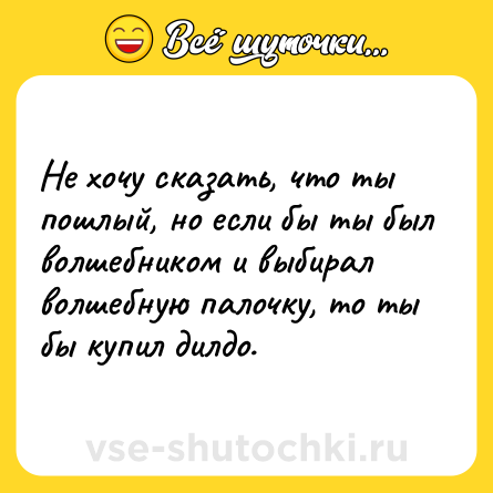 Шутка: Не хочу сказать, что ты пошлый, но если бы ты был волшебником и выбирал волшебную палочку, то ты бы купил дилдо.