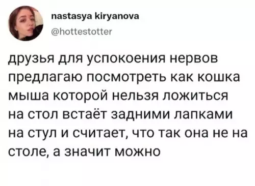 Смешная картинка №600763 Кошки