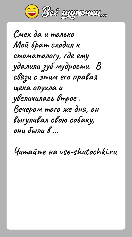История: Смех да и только Мой брат сходил к стоматологу, где ему удалили зуб мудрости. В связи с этим его