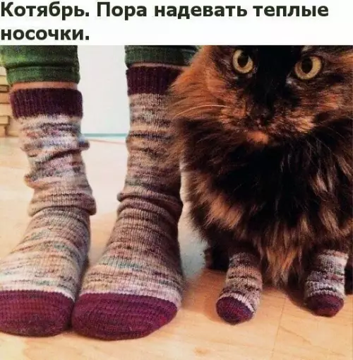 Смешная картинка №211615