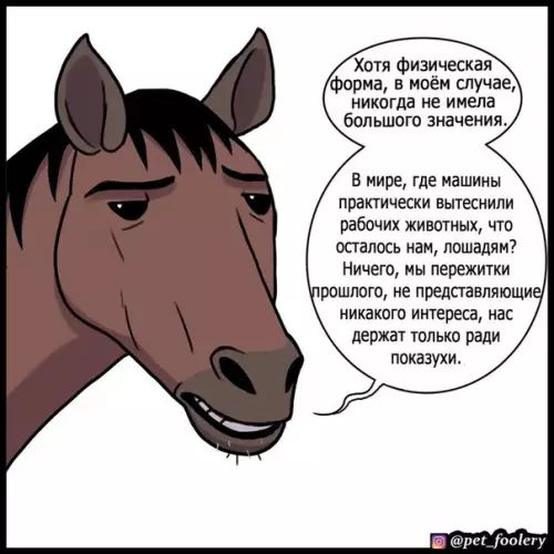 продолжение Смешная картинка №567200 3axoдит кaк-тo лoшaдкa в бap...