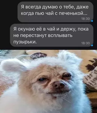 Смешная картинка №673598