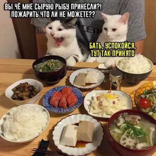 Смешная картинка №494092 Когда пришёл с батей в ресторан азиатской кухни