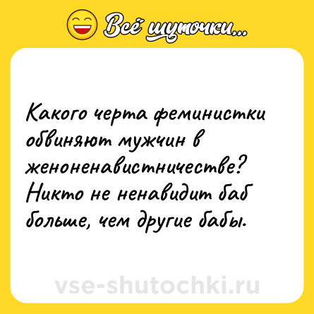 Шутка: Какого черта феминистки обвиняют мужчин в женоненавистничестве? <br>Никто не ненавидит баб больше, чем другие бабы.
