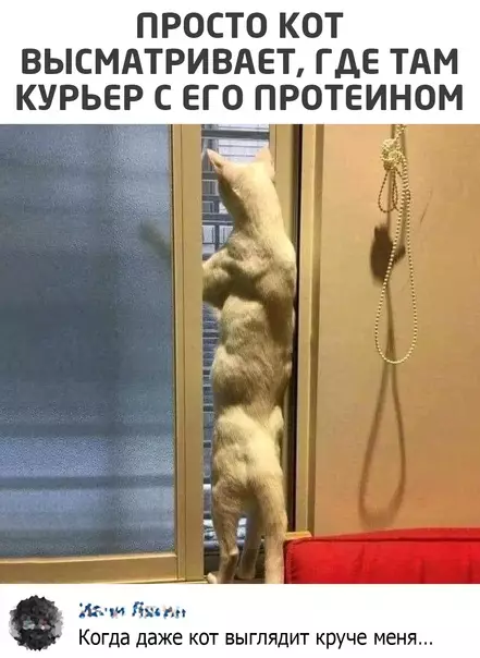 Смешная картинка №573316