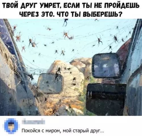Смешная картинка №372376