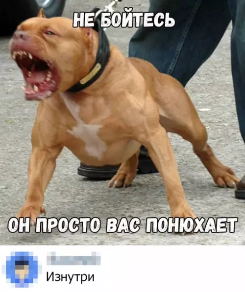 Смешная картинка №367812