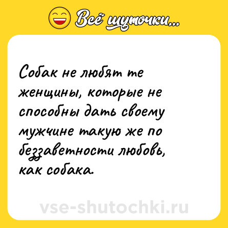 Шутка: Собак не любят те женщины, которые не способны дать своему мужчине такую же по беззаветности любовь, как собака.