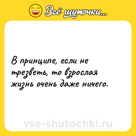 Шутка: В принципе, если не трезветь, то взрослая жизнь очень даже ничего.