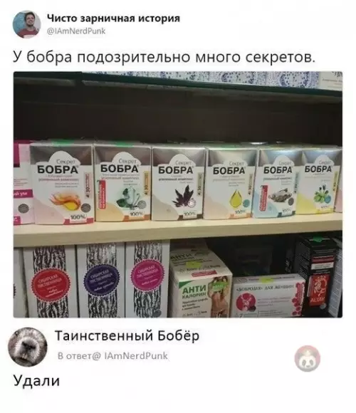 Смешная картинка №472545 Боюсь представить что за секреты у бобров