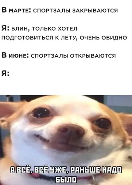 Смешная картинка №500206