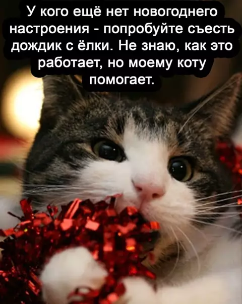 Смешная картинка №547384 Coмнитeльныe coвeты