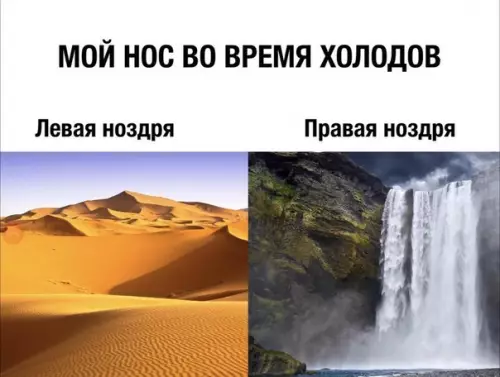 Смешная картинка №222271