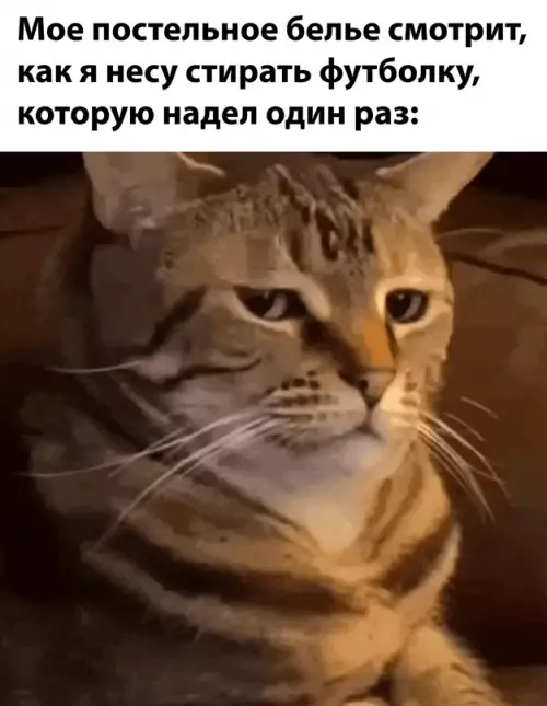Смешная картинка №693538