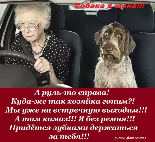 Смешная картинка №179869