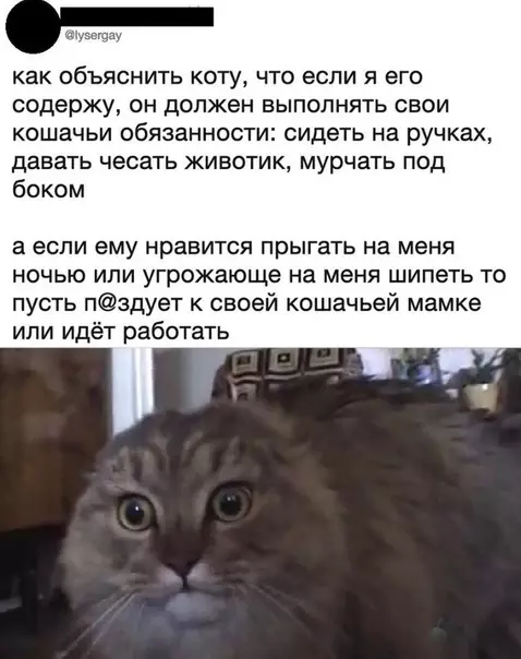 Смешная картинка №466427