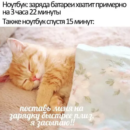 Смешная картинка №680296