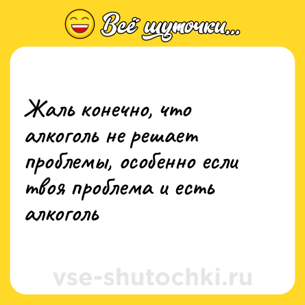 Шутка: Жаль конечно, что алкоголь не решает проблемы, особенно если твоя проблема и есть алкоголь