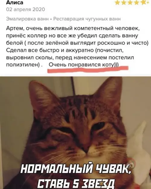 Смешная картинка №605036 ну, раз кот оценил, то всееее ?