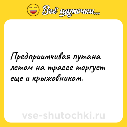 Шутка: Предприимчивая путана летом на трассе торгует еще и крыжовником.