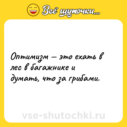 Шутка: Оптимизм — это ехать в лес в багажнике и думать, что за грибами.