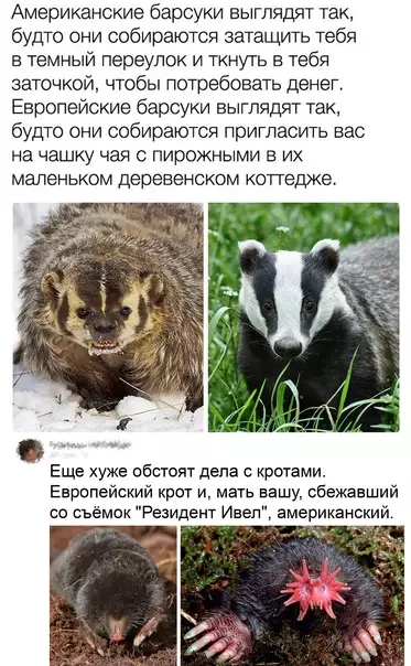 Смешная картинка №542381 В Америке явно что-то не так с экологией?