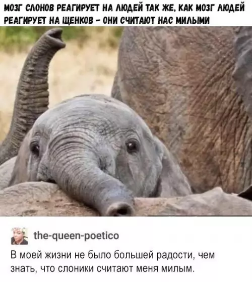 Смешная картинка №260089