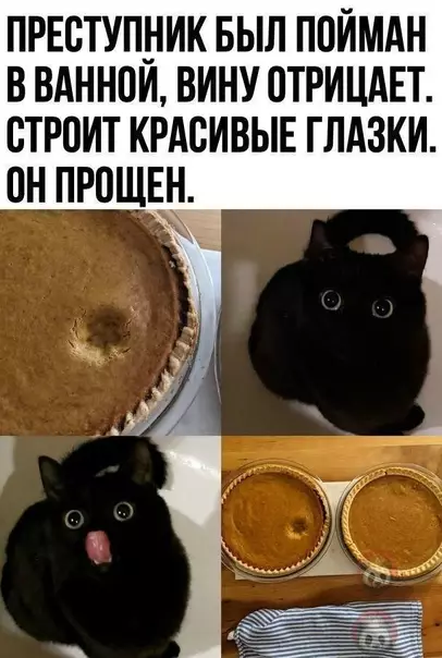 Смешная картинка №541822 Украсил просто, ну!