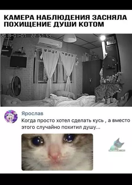 Смешная картинка №331070
