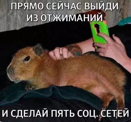 Смешная картинка №712990
