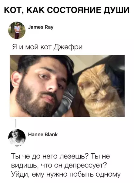 Смешная картинка №317641