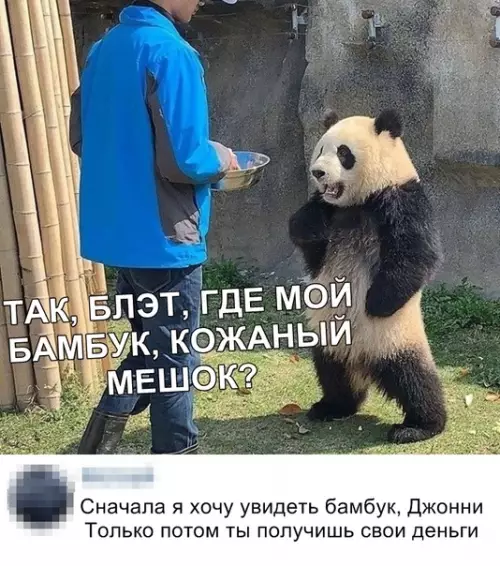 Смешная картинка №343490 животные