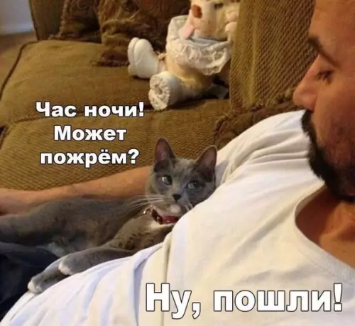 Смешная картинка №254041
