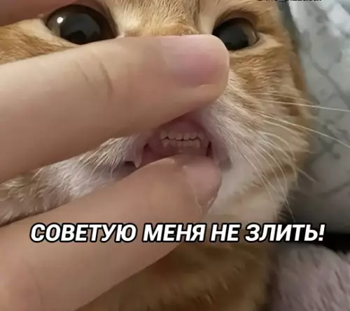 Смешная картинка №763894 Как тебя видят, когда ты в ярости!