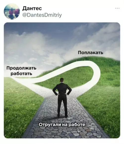 Выбор между работой и эмоциями
