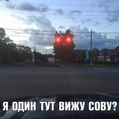 Смешная картинка №211190