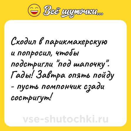 Шутка: Сходил в парикмахерскую и попросил, чтобы подстригли под шапочку . Гады! Завтра опять пойду - пусть помпончик сзади состригут!