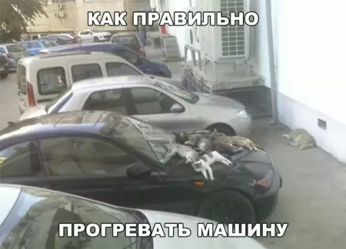 Смешная картинка №246522