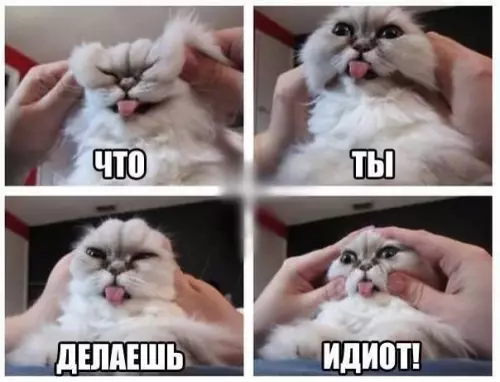 Смешная картинка №185601
