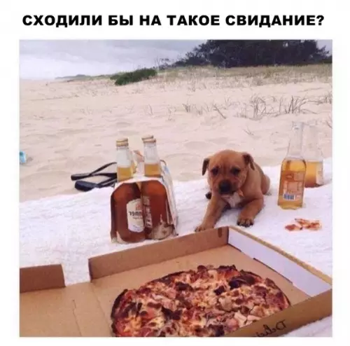 Смешная картинка №287587