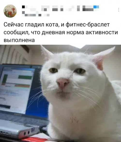 Смешная картинка №784773 Ну и хватит 