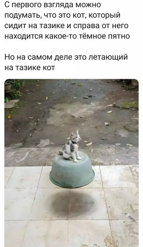Смешная картинка №711195