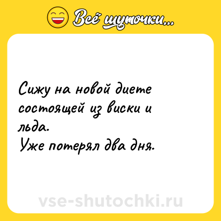 Шутка: Сижу на новой диете состоящей из виски и льда. <br>Уже потерял два дня.