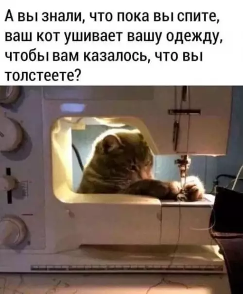 Смешная картинка №679361