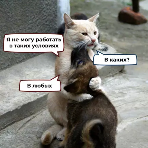 Смешная картинка №739953