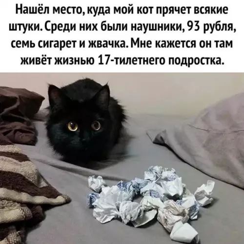 Смешная картинка №543746 Заначка раскрыта