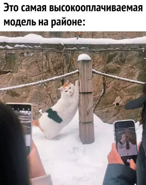 Смешная картинка №707037